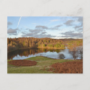 Postal Tarn Hows - Distrito del Lago Inglés