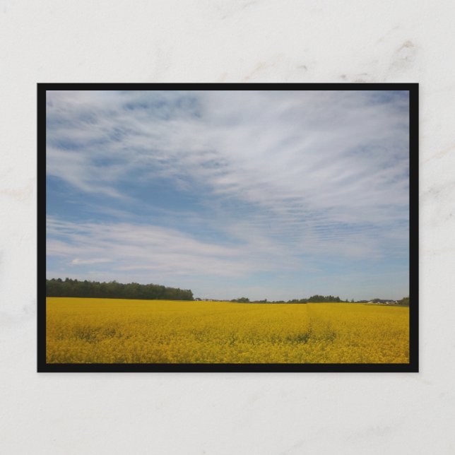 Postal Tarnowskie Góry (Polonia) (Anverso)