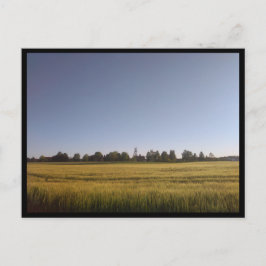 Postal Tarnowskie Góry (Polonia)