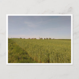 Postal Tarnowskie Góry (Polonia)