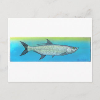 Postal Tarpon