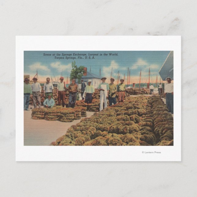 Postal Tarpon Springs, FL - Escena de intercambio de espo (Anverso)