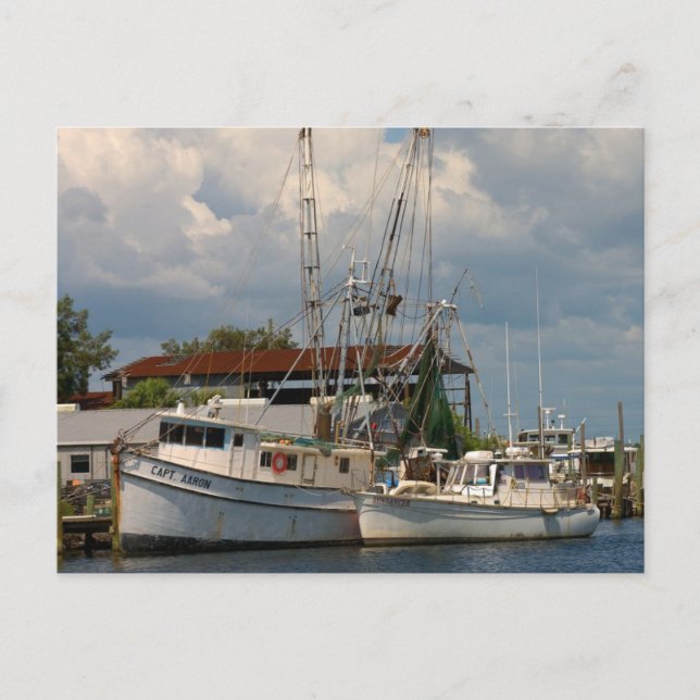 Postal Tarpon Springs, Florida Post Cards (Anverso)