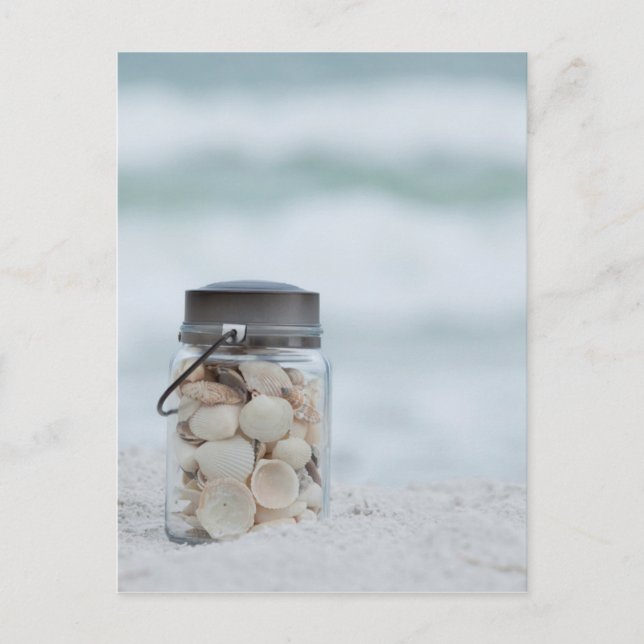 Postal Tarro de Seashells en la playa el | la Florida (Anverso)
