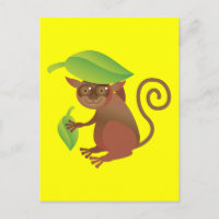 Tarsier escondido bajo una hoja verde