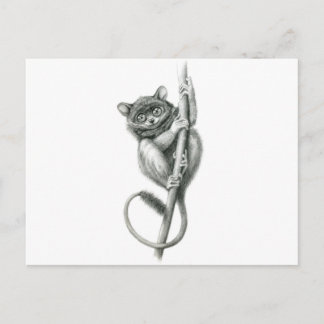 Postal Tarsier schukina de Filipinas