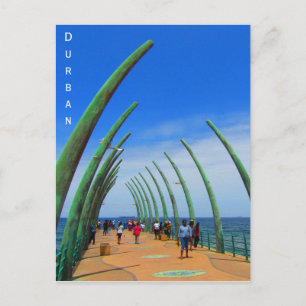 Postal tarta de ballena de durban r