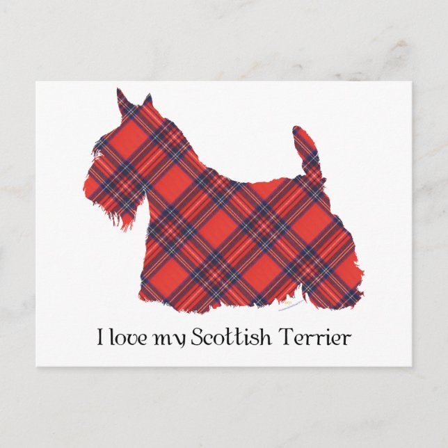 Postal Tartan Stewart Terrier Escocés (Anverso)