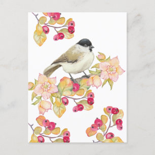 Postal Tasa de marsh en color de agua