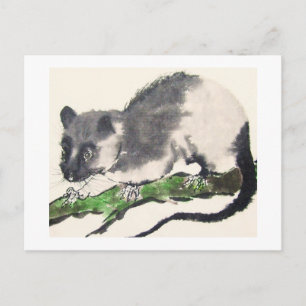 Postal Tasa No. 09 * Rat * Ratten-Postkarten * Rat-Postc