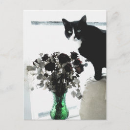 Postal Tasha el gato del Tuxedo