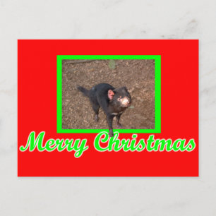 Postal Tassie Devil