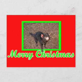 Postal Tassie Devil