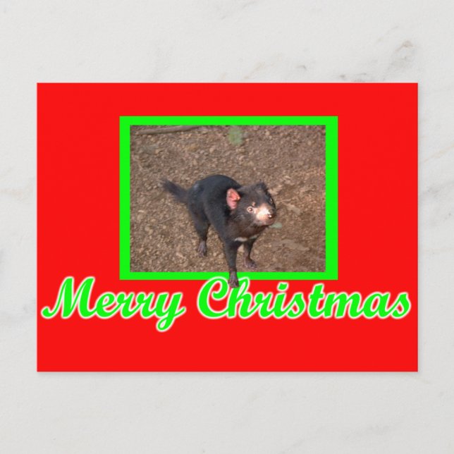 Postal Tassie Devil (Anverso)