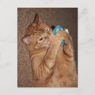 Postal Tater