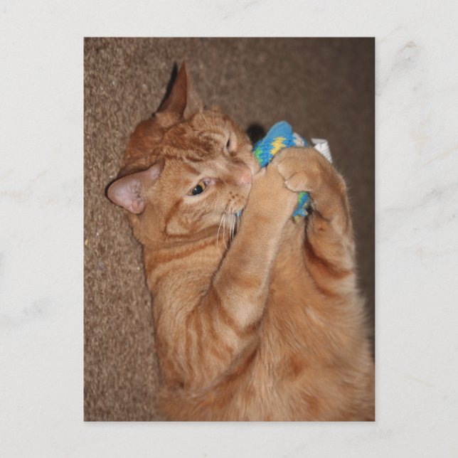 Postal Tater (Anverso)