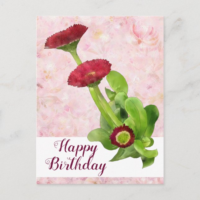 Postal Tausendschön (Anverso)