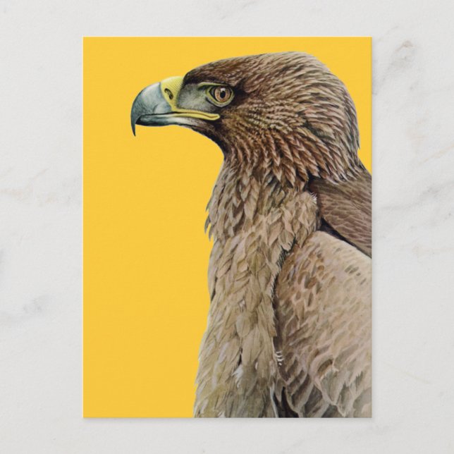 Postal Tawny Eagle (Anverso)