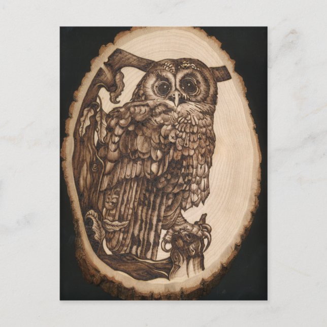 Postal Tawny Owl (Anverso)