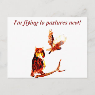 Postal Tawny Owl Art Moving Home