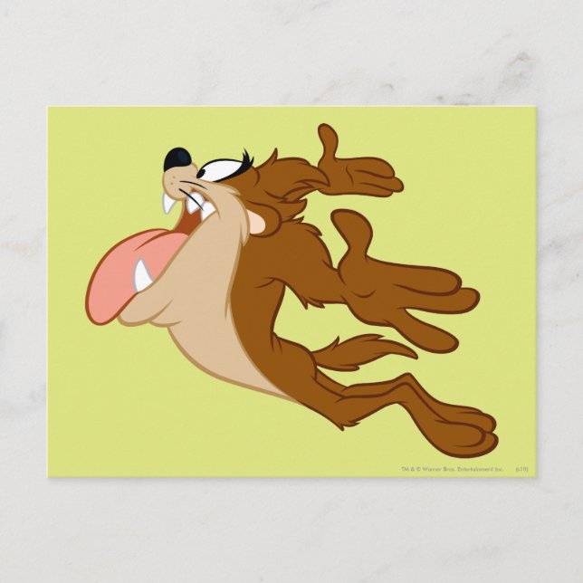 Postal TAZ™ sobrevolando el aire (Anverso)