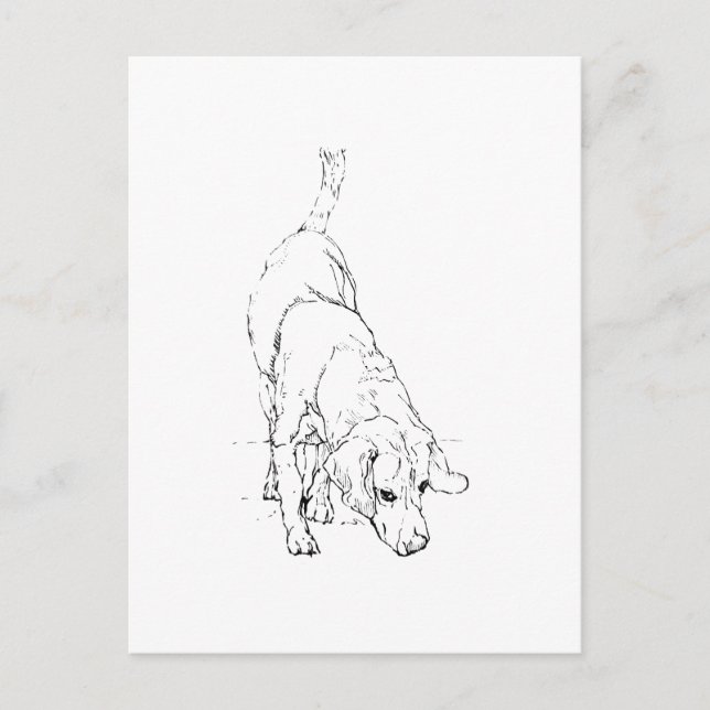 Postal Taza Beagle – Perro de Tinta Dibujado a Mano  (Anverso)