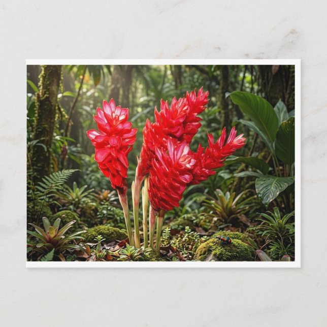 Postal Taza de café con flor de jengibre botánico vibrant (Anverso)