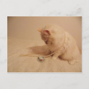Postal taza de té fiesta en gatito Postcard