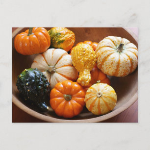 Postal Tazón de Calabaza