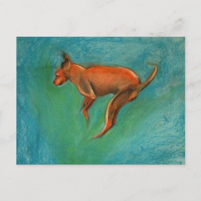 Postal Tazzmaster (Anverso)