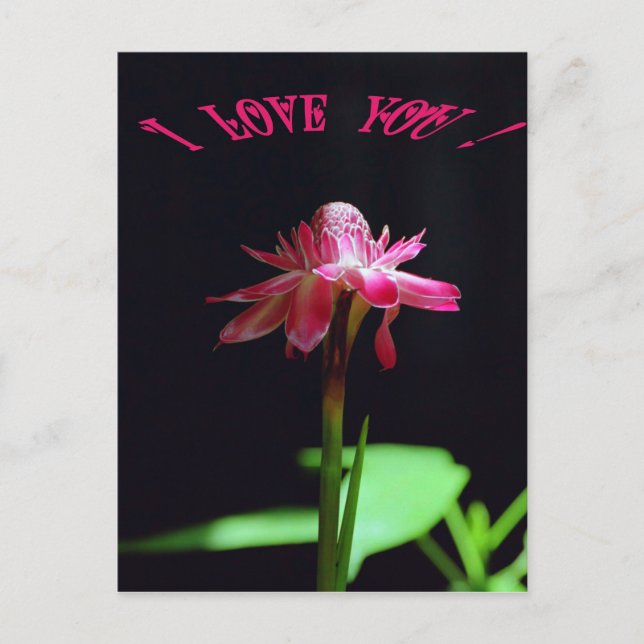 Postal Te amo (Anverso)