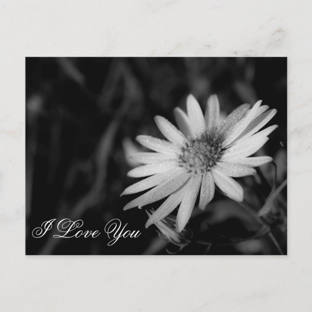 Postal Te Amo (Anverso)