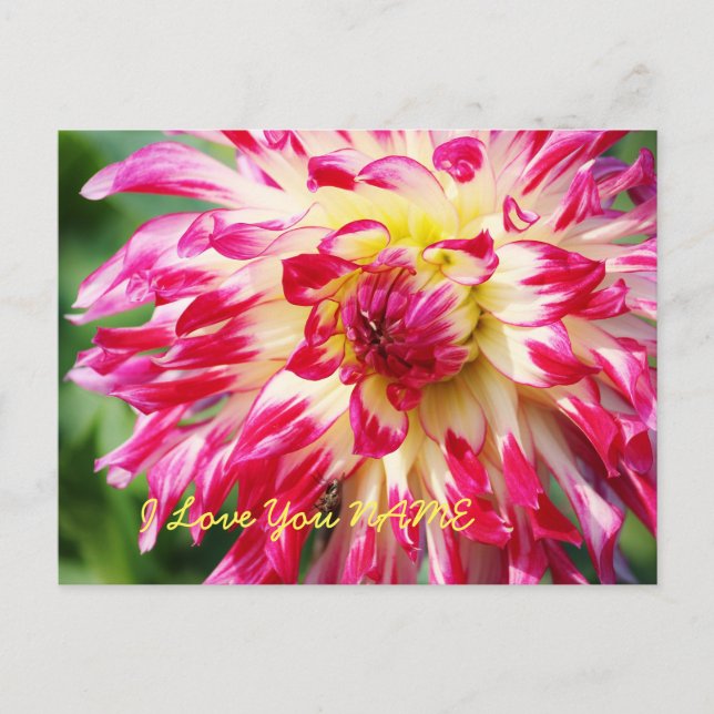 Postal Te Amo (Anverso)