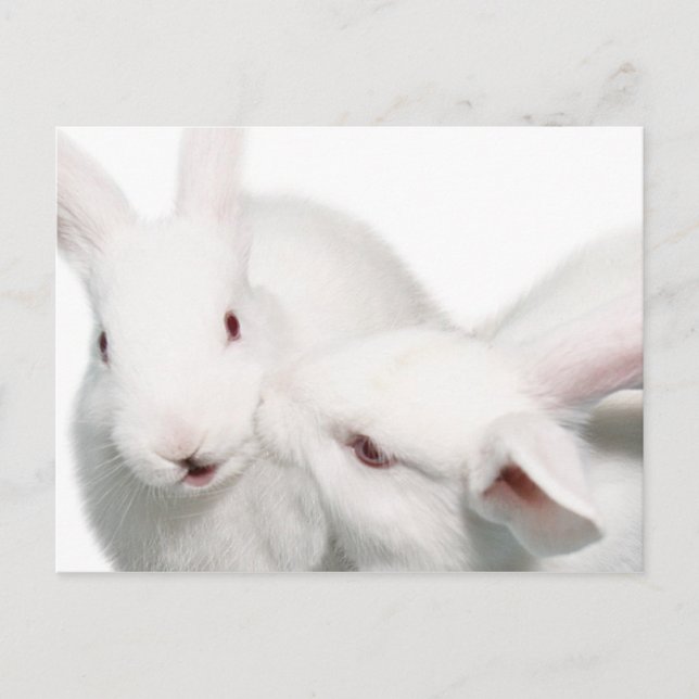 Postal Te amo (Anverso)