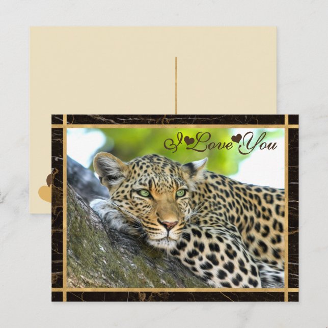 Postal Te Amo La Fotografía De Leopardo (Anverso / Reverso)
