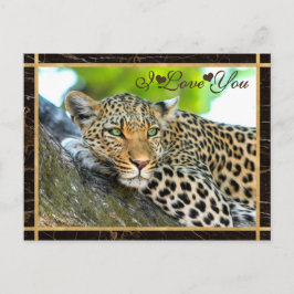 Postal Te Amo La Fotografía De Leopardo