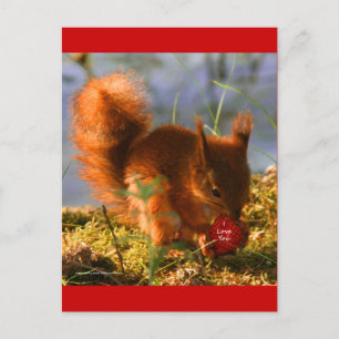 Postal Te Amo La Fresa