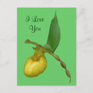 Postal Te Amo Lady Slipper Flower Photo