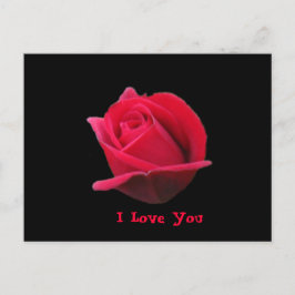 Postal Te Amo Postcard Rosa