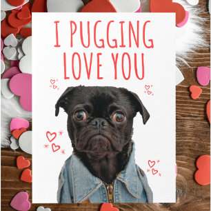 Postal Te amo Pug Amante de Perros Divertido Día de San V