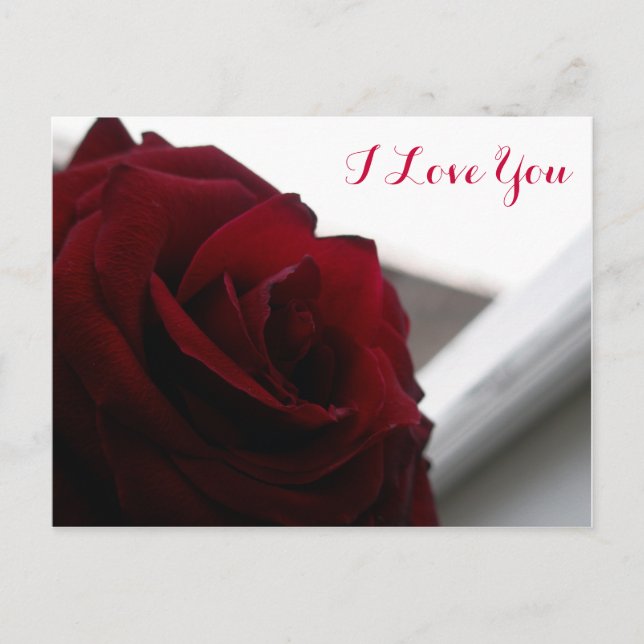 Postal Te Amo (Rosa Roja) (Anverso)