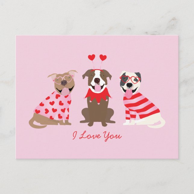 Postal Te Amo San Valentín Americano De Los Territorios D (Anverso)