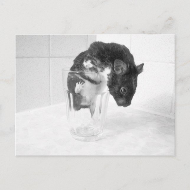 Postal ¿Te apetece beber algo? (Anverso)