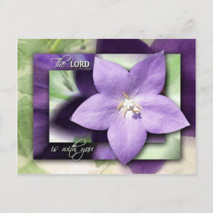 Postal Te callará con su amor