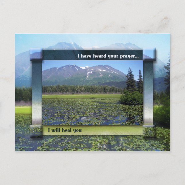 Postal Te Curaré (Anverso)