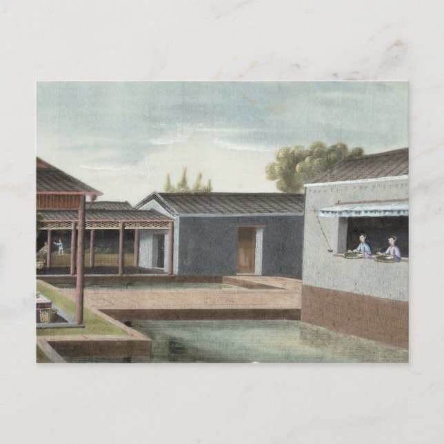 Postal Té de ordenación (con c/c sobre papel) 2 (Anverso)