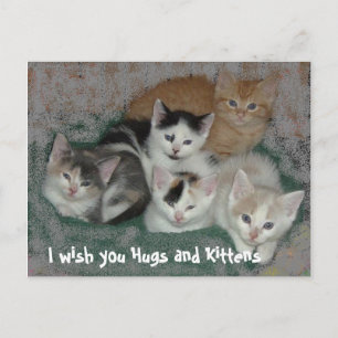 Postal Te deseo abrazos y gatitos