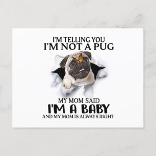 Postal Te digo que no soy un pug soy un amante de los pug