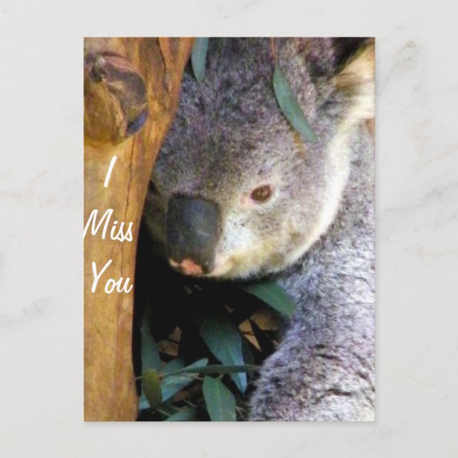 Postal Te echo de menos. (Anverso)