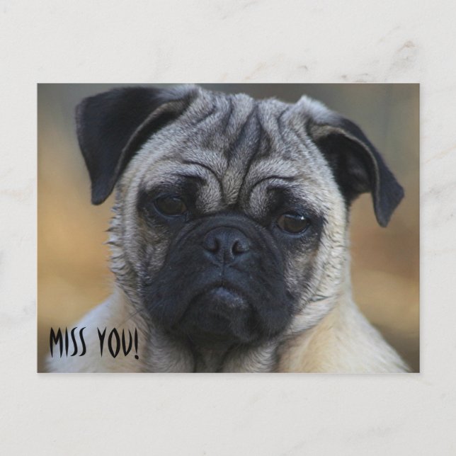 Postal ¡Te echo de menos! (Anverso)